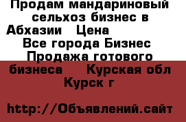 Продам мандариновый сельхоз-бизнес в Абхазии › Цена ­ 1 000 000 - Все города Бизнес » Продажа готового бизнеса   . Курская обл.,Курск г.